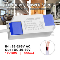 12-18W 300mA LED isolé courant Constant pilote alimentation 85-265V AC à DC 30-60V éclairage transformateur convertisseur Ballast