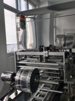 Scelleuse automatique continue LUOKE pour tofu, contrôlée par PLC, pour machine d'emballage de tofu doux en boîte