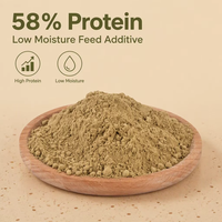 Poudre d'œufs de mouches soldat noires en gros, additif alimentaire avec 58% de protéines de haute teneur