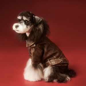 Vintage Style PU Leather Dog Jacket <b>Cool</b> Biker Pet Coat with Zipper for Small Medium Dogs - Product Image 6