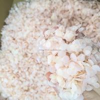 Vente chaude 20g de pétales de fleurs séchées décoratives, fleurs séchées, hydrangea, rose, confettis naturels biodégradables pour mariage