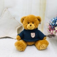 Vente en gros de jouets en peluche personnalisés, jouets en peluche doux, ours en peluche, jouets d'animaux en peluche avec pull coloré pour enfants