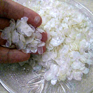 เวียดนามขายส่ง OSSE ในเกาหลี/ญี่ปุ่น คอลลาเจนเปปไทด์จากปลาไฮโดรไลซ์ / เฮเซล - Product Image 1