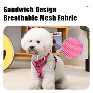 Rarewe, producto para mascotas, cachorro, perro, chaleco, arnés, conjunto OEM, logotipo de marca personalizado, transpirable, ajustable, arnés para perro pequeño para <span class=keywords><strong>Bichon</strong></span> Frise - Product Image 2