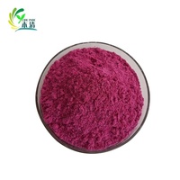 Vente chaude Usine Directe Ventes Haute Qualité Naturel Pitaya Fruit Poudre Dragon Fruit Poudre dans L'emballage De Tambour