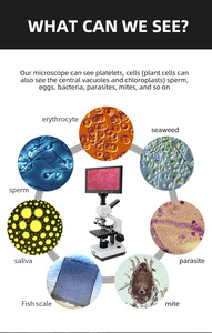 Kính hiển vi sinh học đa chức năng MSD101-Q-9C với màn hình 9 inch - Product Image 3