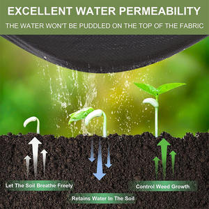 Toile de paillage tissée en polypropylène (PP) en rouleau, anti-mauvaises herbes, écologique, pour usage agricole, découpable - Product Image 6