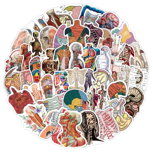 50 Pcs Waterproof PVC Wall Sticker Laptop Luggage Skateboard DIY Decor Educational Medical Body Structure Anatomy Graffiti