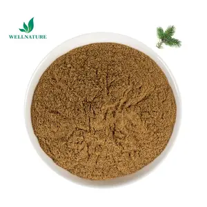 Wellnature Melhor Preço Branco Vermelho Pinho Agulha Extrato 10:1 Natural Pinho Agulha Extrato Em Pó