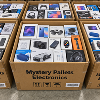 Lot de Retour d'Articles Électroniques : Smartphones, Tablettes, Ordinateurs Portables, Systèmes de Jeu, Écouteurs TWS - Palettes Mystères en Gros pour Importateurs et Revendeurs