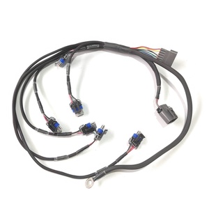 LS2 LQ9通用智能线圈转换线束，适用于RB25DET S1 PRO线束 - Product Image 1