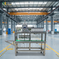 Machine de remplissage isobare personnalisée 300BPH 500BPH 800BPH pour bouteilles en verre, système de remplissage de bière et de boissons liquides à petite échelle