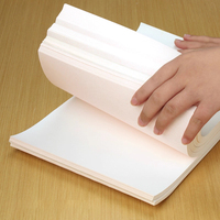 Película PET para Sublimación en Hojas A3 y A4, Papel de Transferencia de Calor para Impresión DTF e Impresora de Inyección de Tinta, Suministro de Fábrica