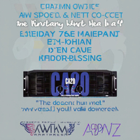 Amplificateur de puissance extérieur CA20 3U 2 canaux 2000W pour DJ, conception passive avec impédance 8ohm 4ohm, haut-parleur à coque métallique