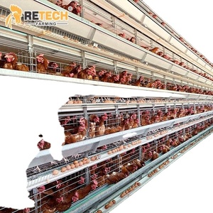 Jaula automática de 4 niveles para 30.000 gallinas ponedoras tipo batería para granja avícola - Product Image 4