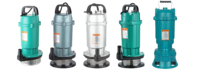 Pompes centrifuges à eau sale en fonte de haute qualité, pompes submersibles pour puits profonds, pompes à eaux usées