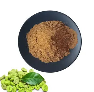 OEM ODM工場プライベートラベル天然減量クロロゲン酸60% グリーンコーヒー豆エキスカフェイン粉末