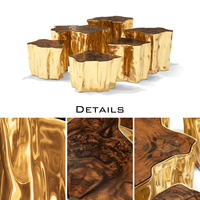 Ensemble de tables basses Inspired Accent en laiton poli, design inspiré de la nature, style contemporain et moderne, meubles de salon