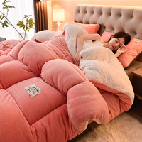 Couettes en velours de lait épais de luxe, literie en sherpa, solides, chaudes, super douces, en polyester, édredons, draps de lit, couvertures pour l'hiver