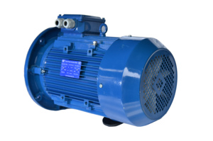 Motor de Inducción Trifásico Pequeño de 2kw y 2.4kw CA con Velocidad Variable - Product Image 3