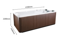 Mini-piscine en acrylique, Spa, piscine sans fin, vente en gros