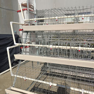 <span class=keywords><strong>Cage</strong></span> pour animaux galvanisée à 3/4 niveaux directe d'usine 96/120/128/160 <span class=keywords><strong>Cage</strong></span> pour ponte d'oiseaux pour la vente au détail d'élevage de volaille disponible - Product Image 6
