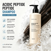 Kit de Soins Capillaires Anti-Chaleur Marque Blanche : Shampoing, Après-Shampoing, Masque Capillaire, Huile Réparatrice et Spray Thermoprotecteur à Base de Peptides Acides (OEM)
