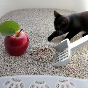 Boule ronde à haute absorption d'eau, sable de litière pour chat, bentonite, vente en gros de sable pour chat, écologique et naturel à faible teneur en poussière, usine OEM - Product Image 1