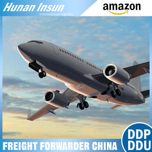 从中国到德国的宠物碗门到门快速运输代理，带DDU/DDP物流解决方案的海运/空运 - Product Image 2