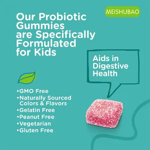 Cetakan permen karet probiotik vegan kustom terbaik bakteri probiotik permen karet serat probiotik untuk anak-anak