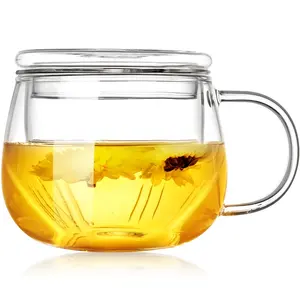 Infuseur à thé en verre résistant à la chaleur, 500 ml, emballage Standard