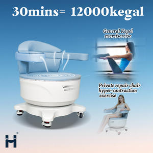 Kursi Terapi Fisik Multifungsi Peralatan Kecantikan Perawatan Pasca Melahirkan EMS Perbaikan Otot Dasar Panggul - Product Image 5