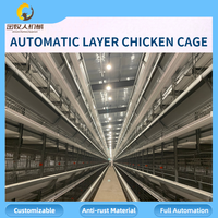 Vente en gros de cages automatiques pour poules pondeuses, équipement d'élevage avicole, vente directe d'usine, 90-160 oiseaux par cage, personnalisable