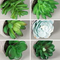 Plantes succulentes artificielles pour intérieur, mini-bonsaïs en pot, combinaison de plantes succulentes simulées pour bureau