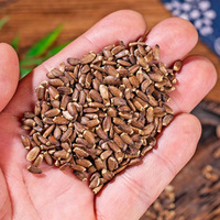 Chardon-Marie Séché Naturel Premium, Thé Herbal Pur de Silybum Marianum Sans Soufre pour Infusion et Consommation Sans Additifs