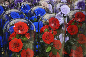 กุหลาบทองขนาดคิงไซส์ในโดมแก้วกุหลาบงามและสัตว์ร้าย - Product Image 4