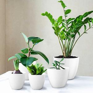Wholesale Imitation Cement Plastic Pots Plants Large <strong>Candy</strong> Color Plastic Pot <strong>Planters</strong> Modern Decorative Plant Pots Indoor - Product Image 3