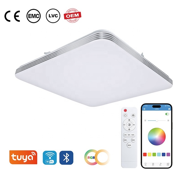 Smart Home LED Ceiling Lights App Voice and Remote Control Eco-Friendly Dimmable RGB Top Selling Bedroom