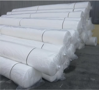 Tissu géotextile haute résistance, tissu non tissé 0,8-5,5 mm 200g 300g pour la construction routière, la filtration des sols et la protection des pentes