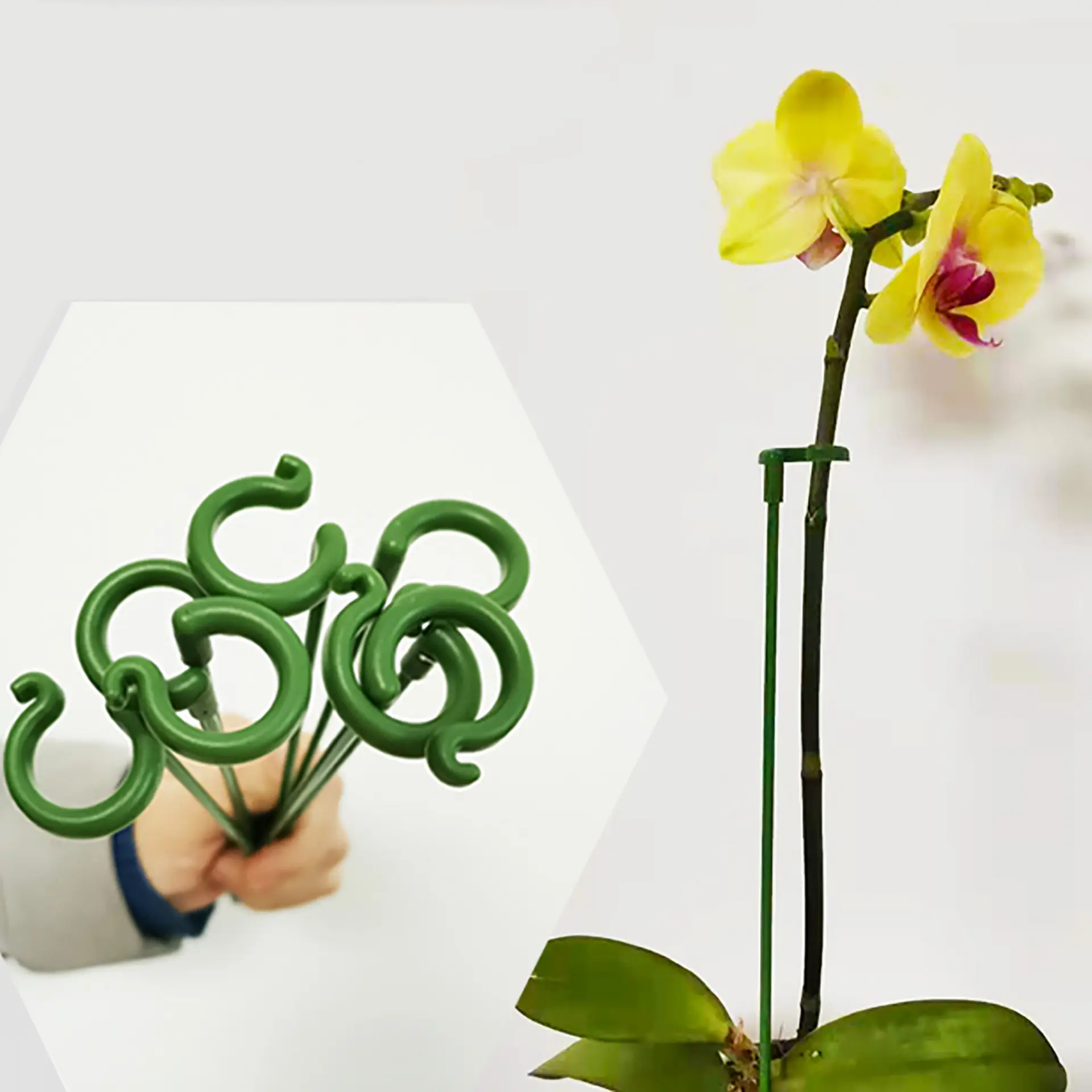 10pcs/bag Stem Plant Support Ring for Orchid Amaryllis Tomatoes Green Garden Plant Stakes Plant Sticks for Flowers Stem Support