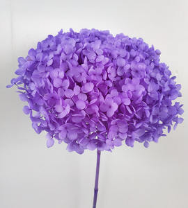 Vente en gros <span class=keywords><strong>Bouquet</strong></span> d'<span class=keywords><strong>hortensia</strong></span> véritable hortensias préservé pour toujours fleurs d'<span class=keywords><strong>hortensia</strong></span> au toucher réel - Product Image 3