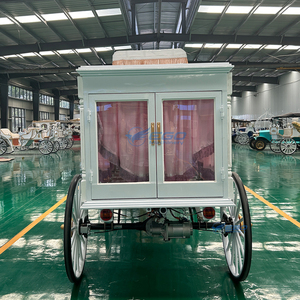 Carroza Fúnebre Eléctrica para Eventos Especiales con Color Personalizado y Estructura de Acero, Carroza Tirada por Caballos con Toldo - Product Image 3