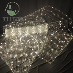 Filet lumineux <span class=keywords><strong>ciel</strong></span> étoilé, décoration de fête de mariage, lumière LED en forme d'étoile, filet lumineux pour les fêtes, Noël, mariage, événements, décorations de plafond - Product Image 2