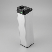 Batterie de vélo électrique de qualité supérieure 48V, type tube interne, BOCHUANG II 48V 10.5Ah 15Ah, pour pièces de vélo électrique