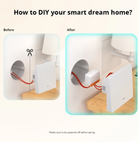 Interrupteur intelligent ZigBee, aucun fil neutre requis, double canal, interrupteur mural intelligent sans fil à 2 voies, commande vocale par application