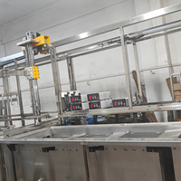 Máquina de Limpieza Ultrasónica Industrial Automática PLC con HMI y Manipulador Mecánico para Limpieza de DPF, Inyectores y Motores Automotrices