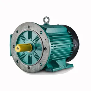 Brook 30Kw 4P hiệu quả cao không đồng bộ AC điện ba giai đoạn Máy bơm nước ie3 40 HP động cơ cảm ứng