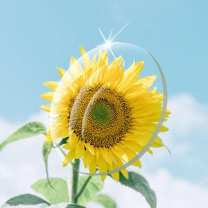 <span class=keywords><strong>Lentes</strong></span> graduadas Lente RX Hi Index1.67 Lente óptica progresiva <span class=keywords><strong>de</strong></span> forma libre <span class=keywords><strong>de</strong></span> 9/11/13MM - Product Image 1