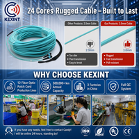 Câble de raccordement à fibres optiques KEXINT MPO vers MPO 24 cœurs OM3 avec gaine extérieure en PVC/LSZH bleue et œil de tirage