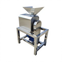 Fruitontpitter, -klopper en -pulpmachine voor mango, perzik, tomaat - 500 kg capaciteit, multi-voltage (220V-440V), voor restaurant en voedselverwerking